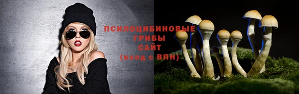 а пвп мука Абаза